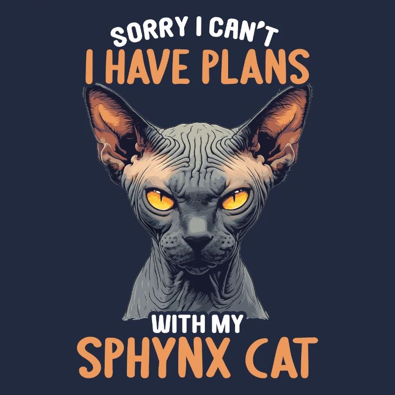 Sphynx Kätzchen Sphynx Katze
