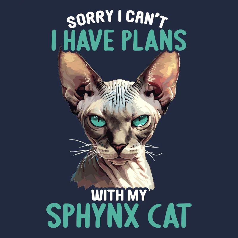 Sphynx Kätzchen Sphynx Katze