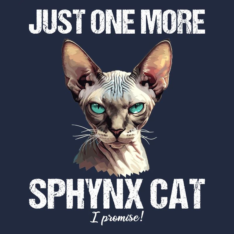 Chaton Sphynx Chat Sphynx