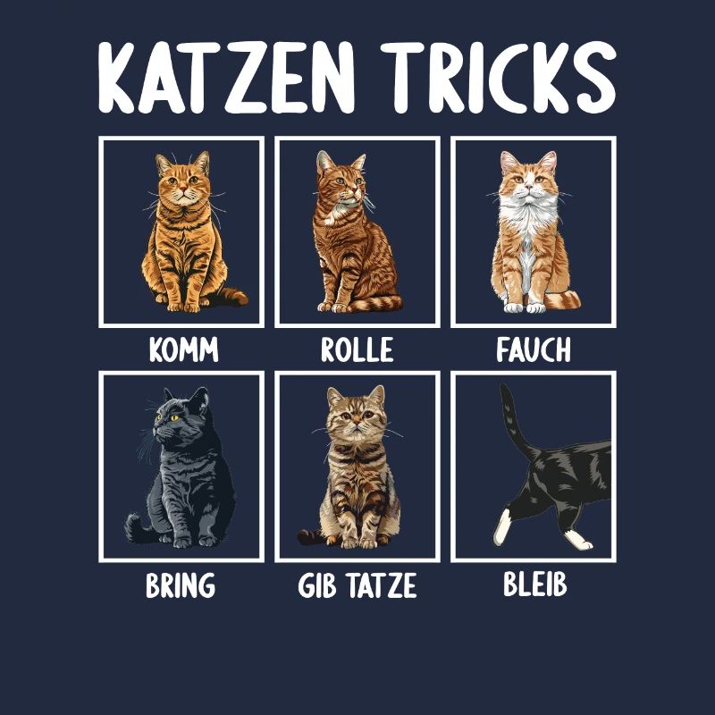 Chat Chats Astuces Chats Drôles