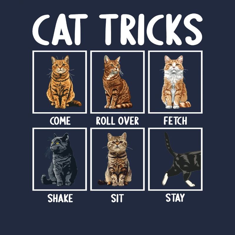 Katze Katzen Tricks lustiges Katzen