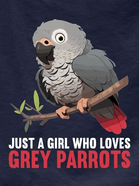 African grey parrots