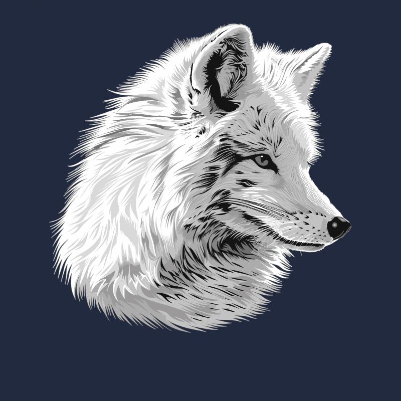 Arctic Fox Polarfüchse Polarfuchs