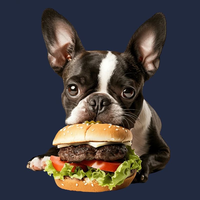 Boston Terrier