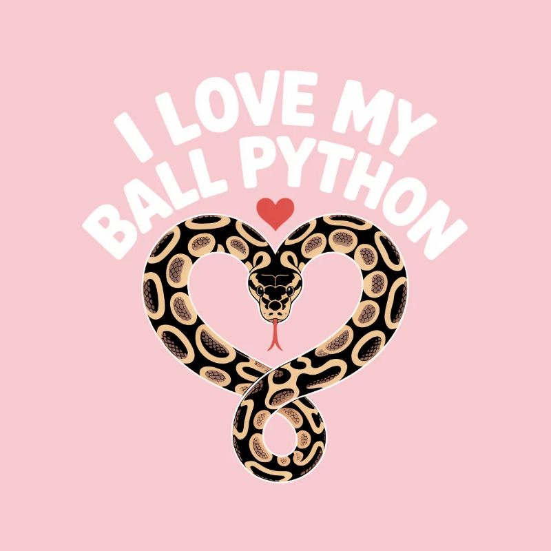 J’adore mon python royal ! Roi python