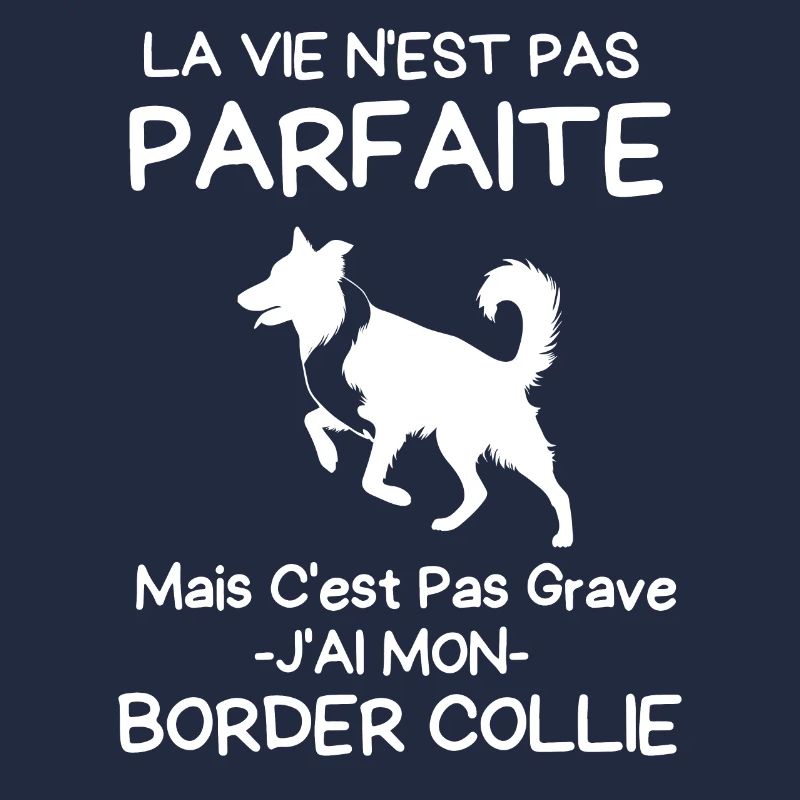 École canine border collie 1