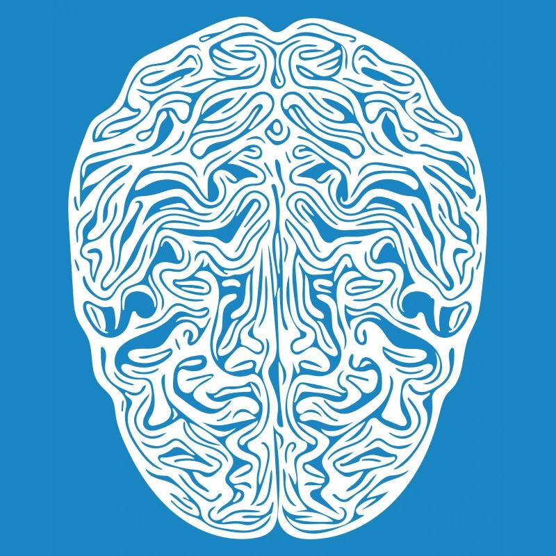 Brain - Anatomical Vector