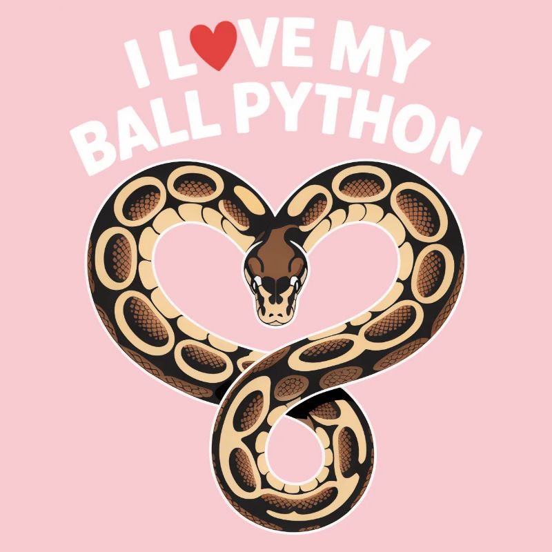 I love my Ball Python! Königspython