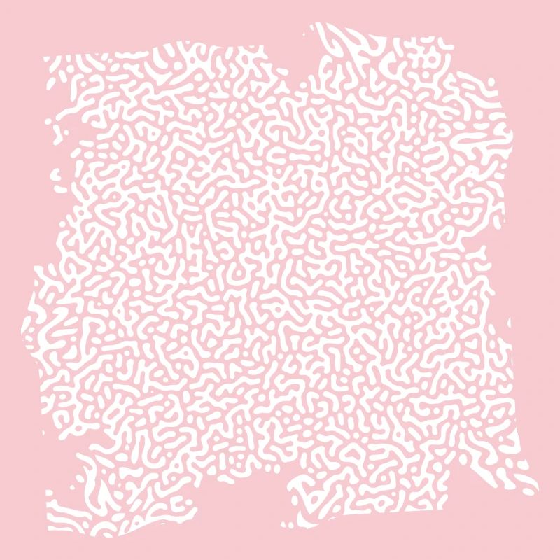 Turing Pattern Blanc - Ver