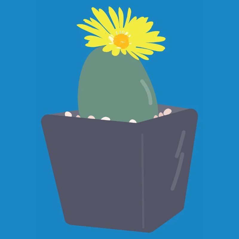 Fleurs de Lithops3