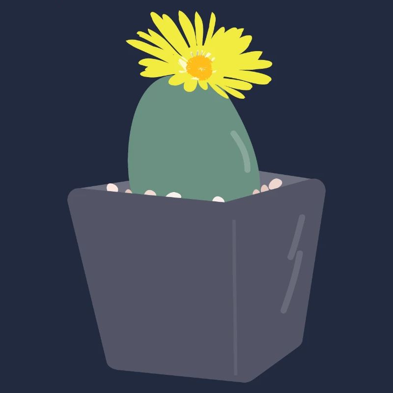 Lithops Blüte3
