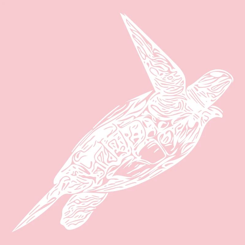 Vintage turtle on surface