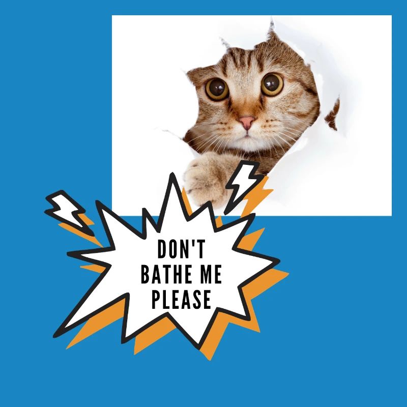 Ne me baigne pas chat