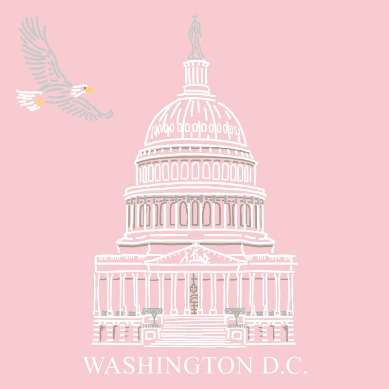 Washington D.C., Capitol Structure, Bald Eagle