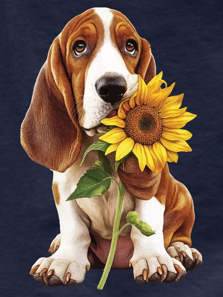 Basset