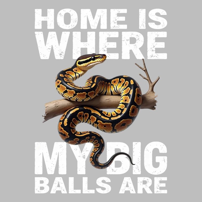 Python roi Serpents Amateurs de terrarium Python