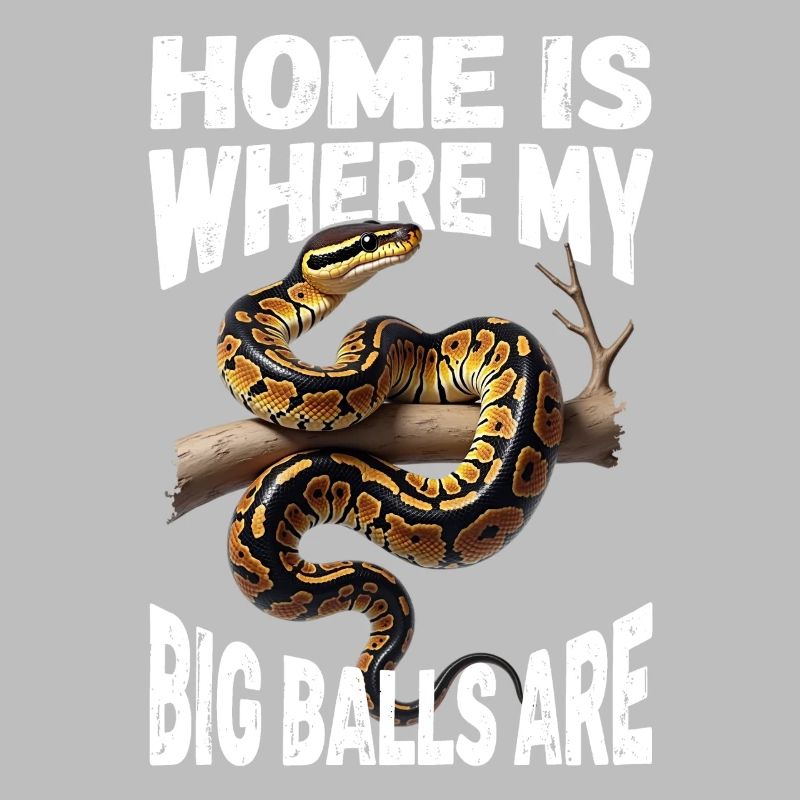 Python roi Serpents Amateurs de terrarium Python