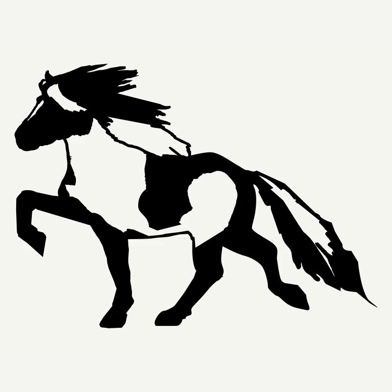 Islandpferd Schecke 7, Pinto reiten Isländer