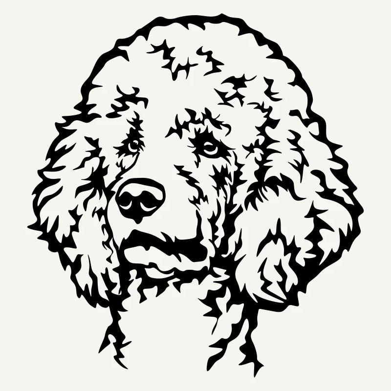 Poodle Head