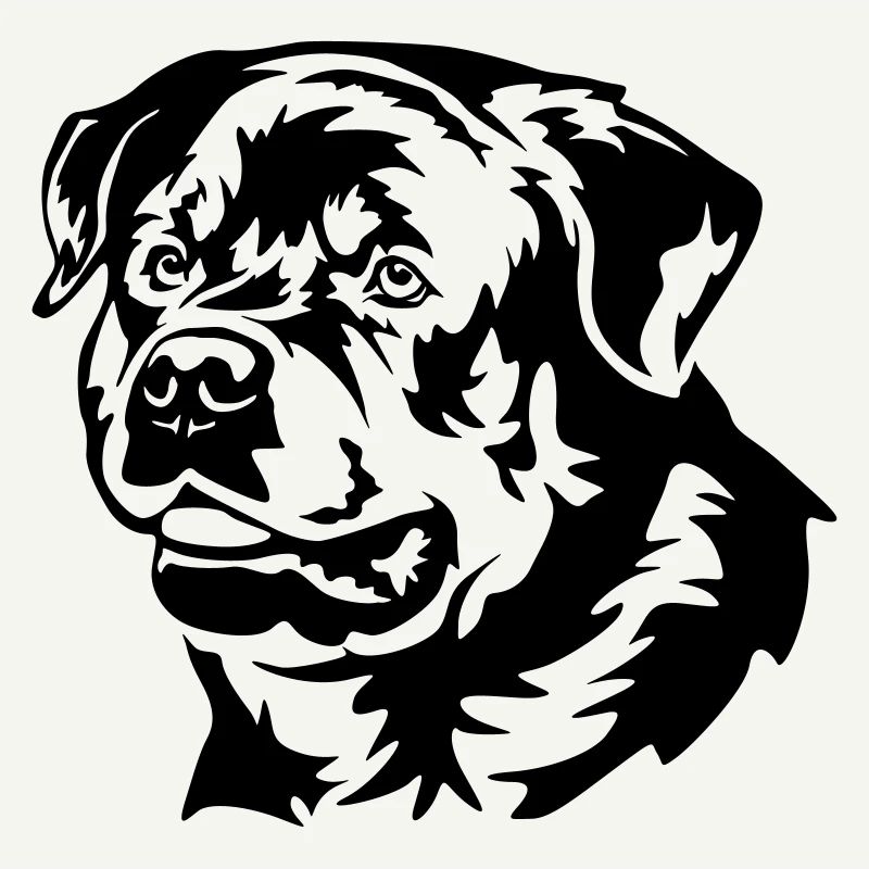 Tête de Rottweiler