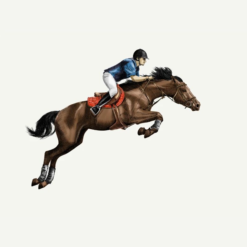 Cavalier en mode course