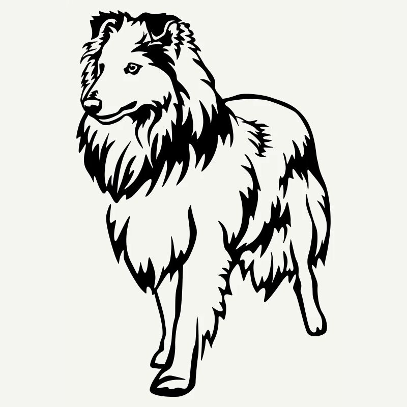 Sheltie