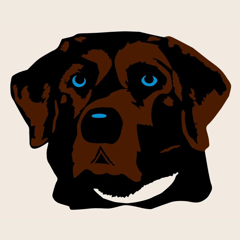 Labrador braun, blond oder schwarz