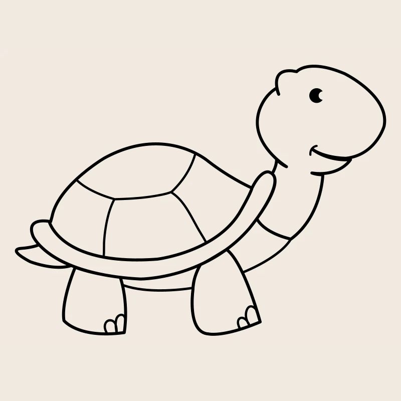 tortue