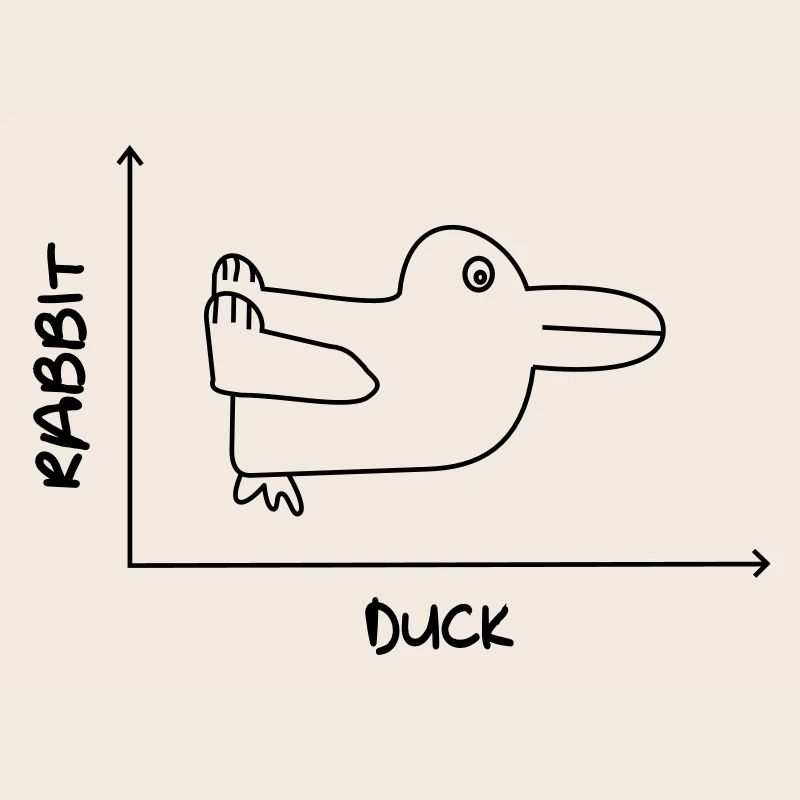 Duck'n Rabbit