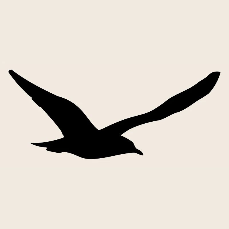 Möwe