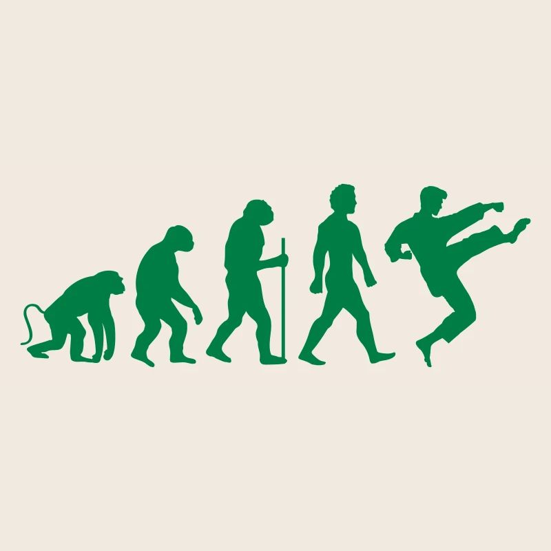 karate evolution