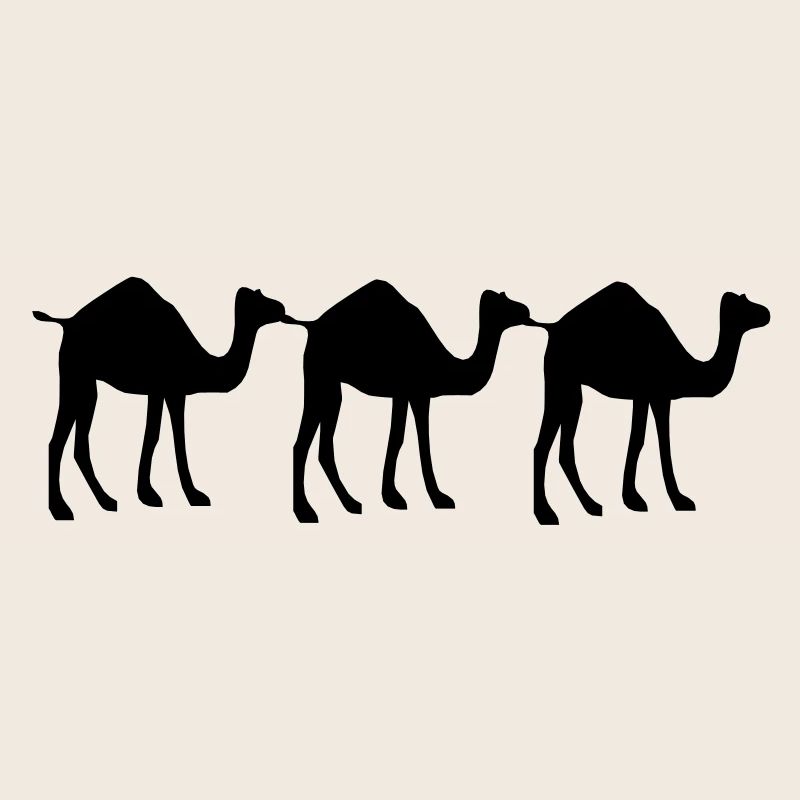 3 Kamel