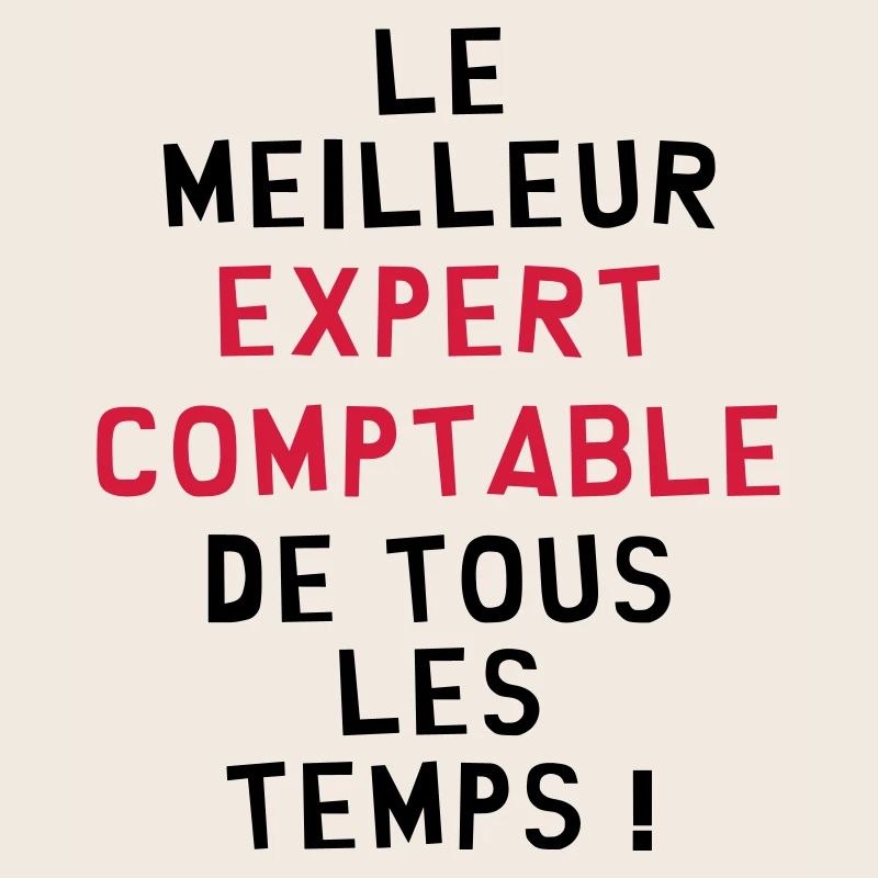 Expert Comptable / Comptabilité / Comptable /