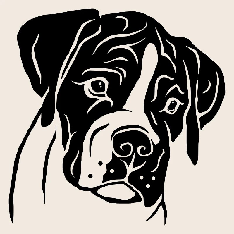 Chiot Boxer