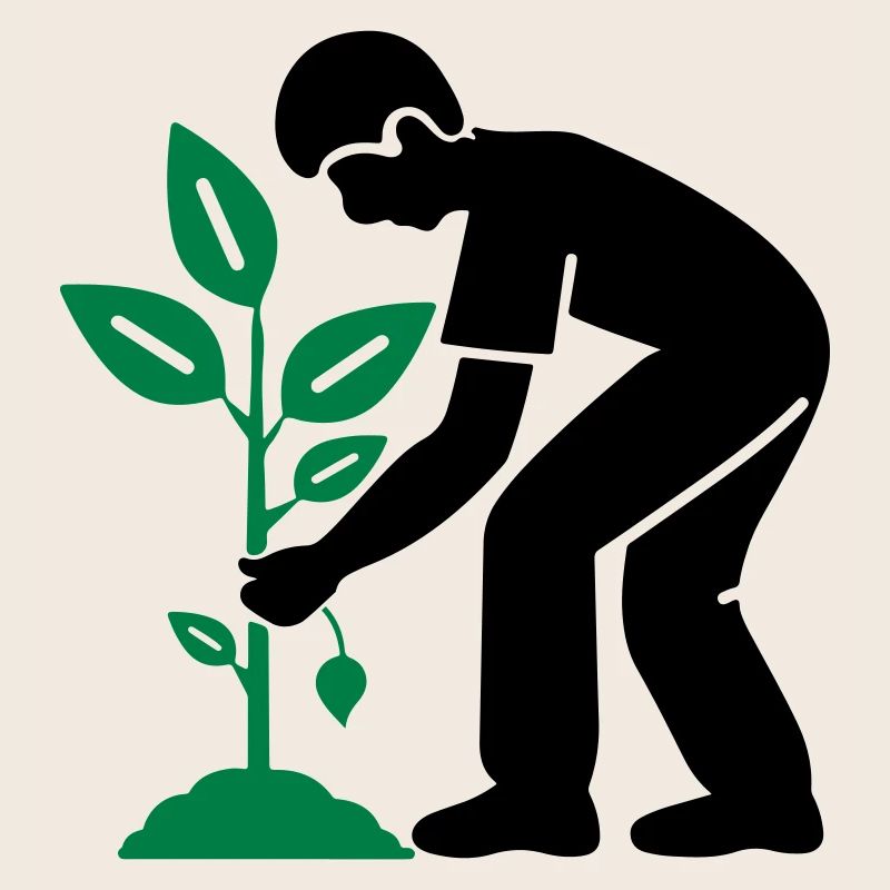Tree Plants Garden Environment