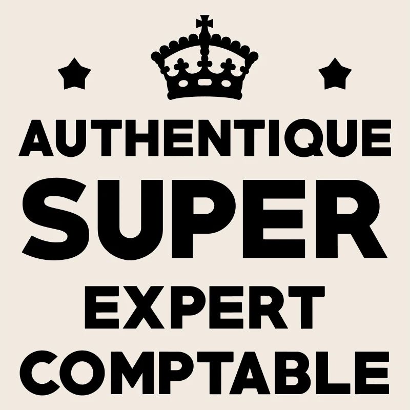 Expert Comptable / Comptabilité / Comptable /