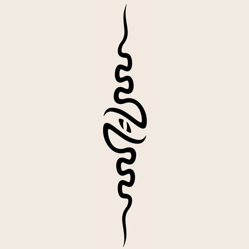 spine_front