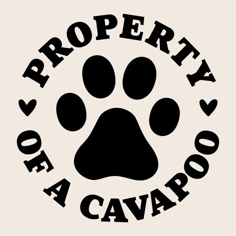 Eigentum eines Cavapoo
