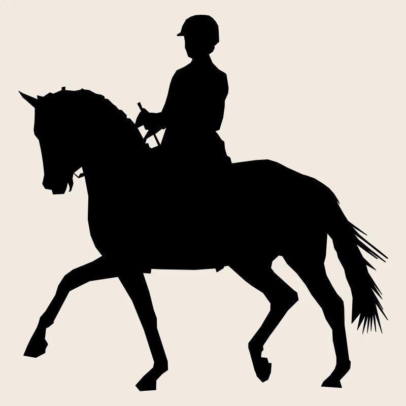 Reiterin mit Pferd
