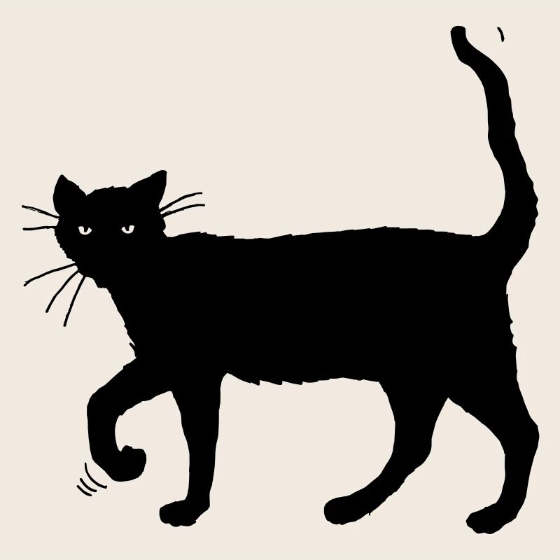 Chat noir