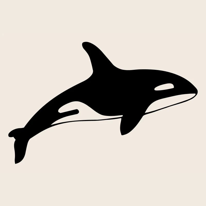 dolphin