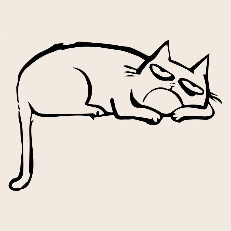 funny cat