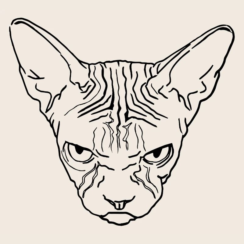 Sphinxkopf