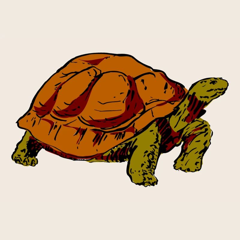 Schildkröte