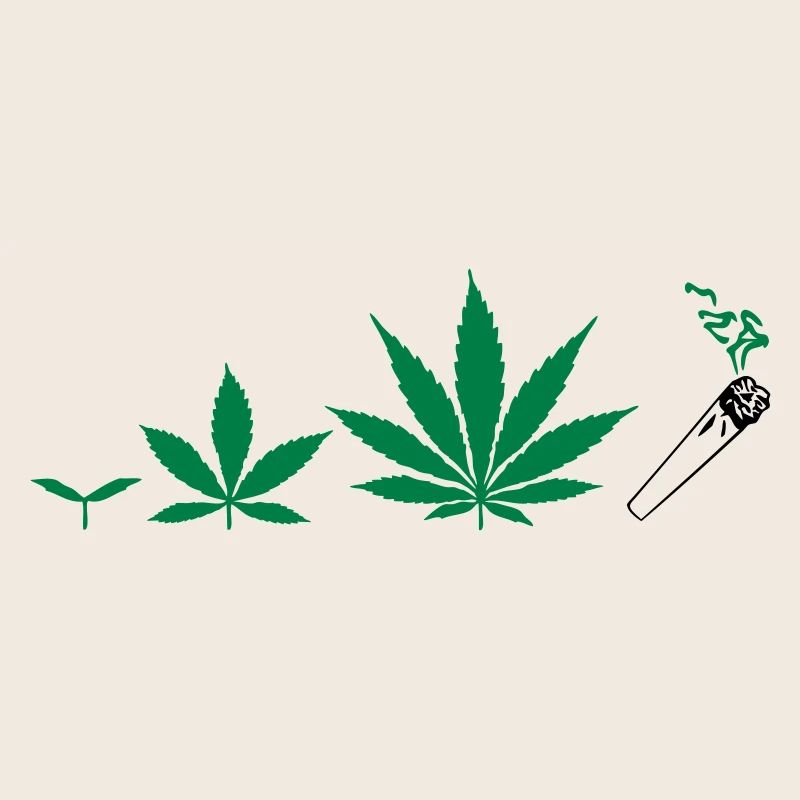 Cannabis development