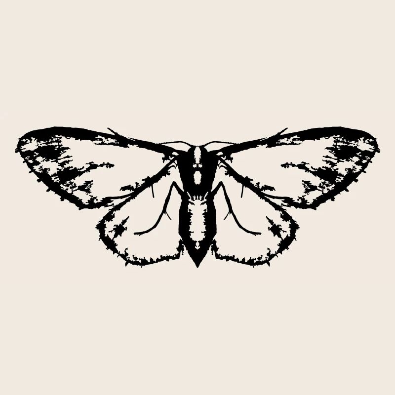 Papillon / Papillon / Papillon