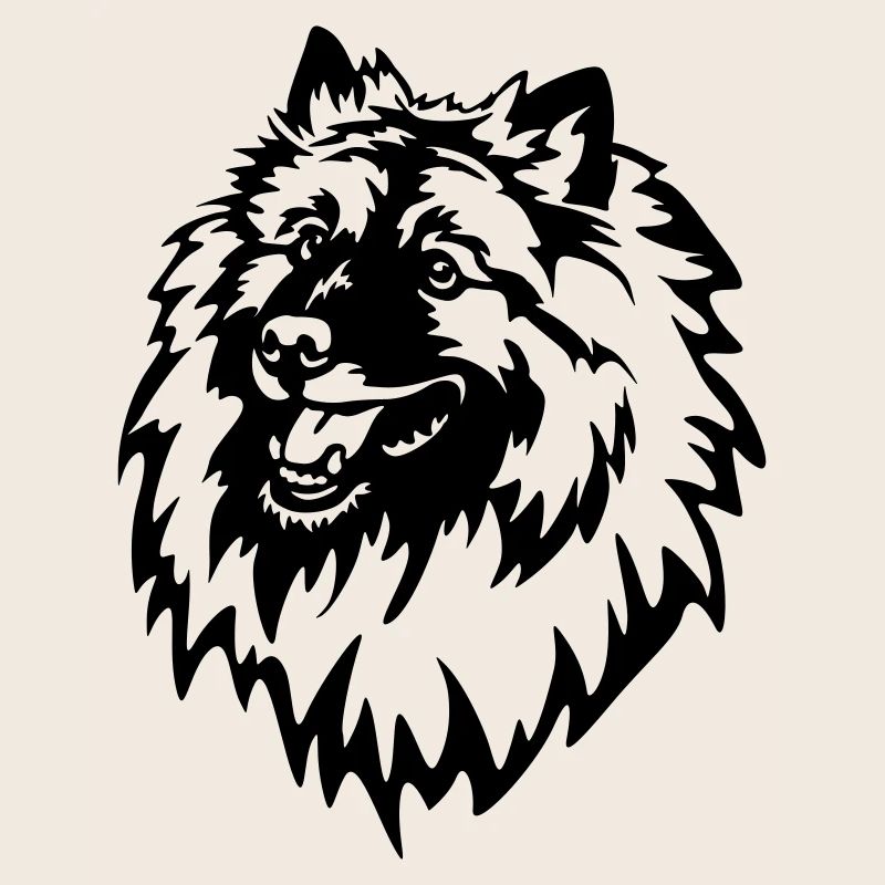 Wolfsspitz Kopf