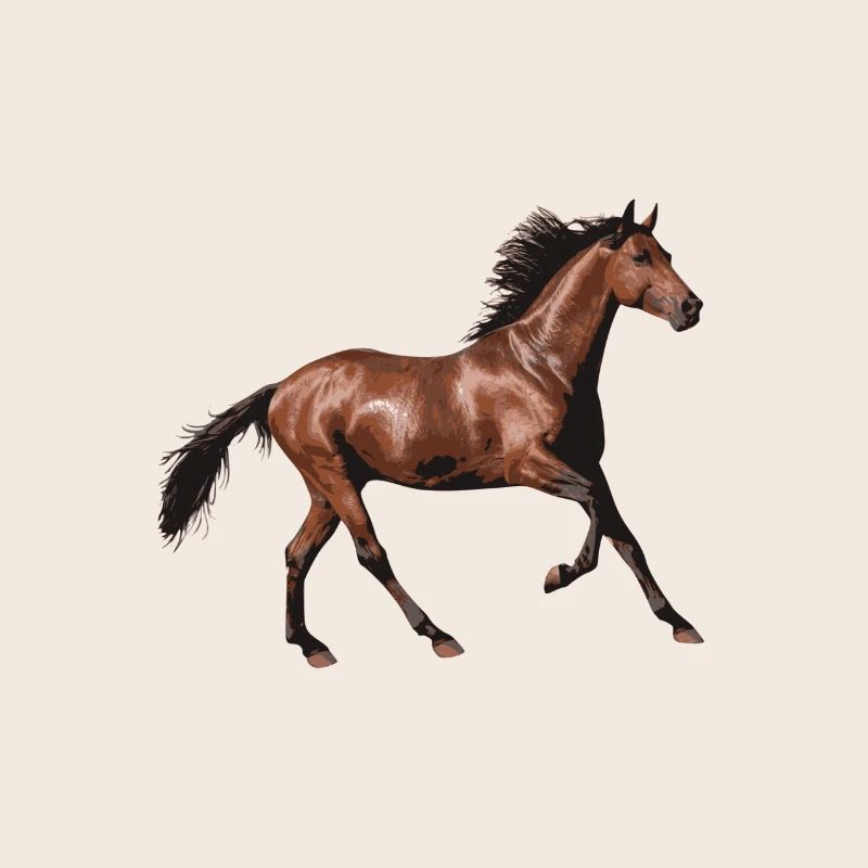 cheval brun