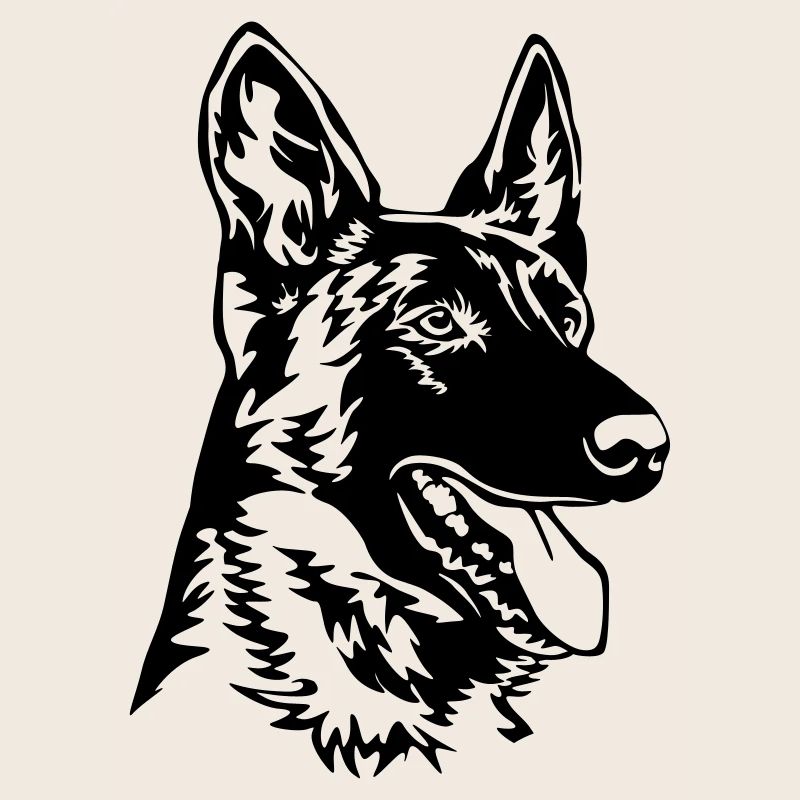 Hollandse Herder Kopf
