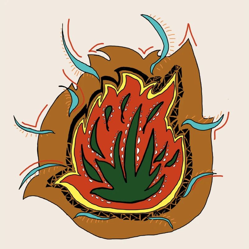 Fire Succulente
